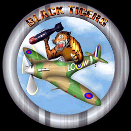 Black Tiger Squadron Logo