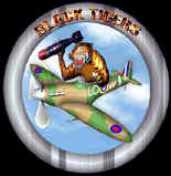 Black Tiger Squadron Logo
